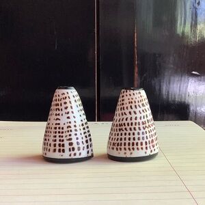 Cone Shell Salt and Pepper Shakers